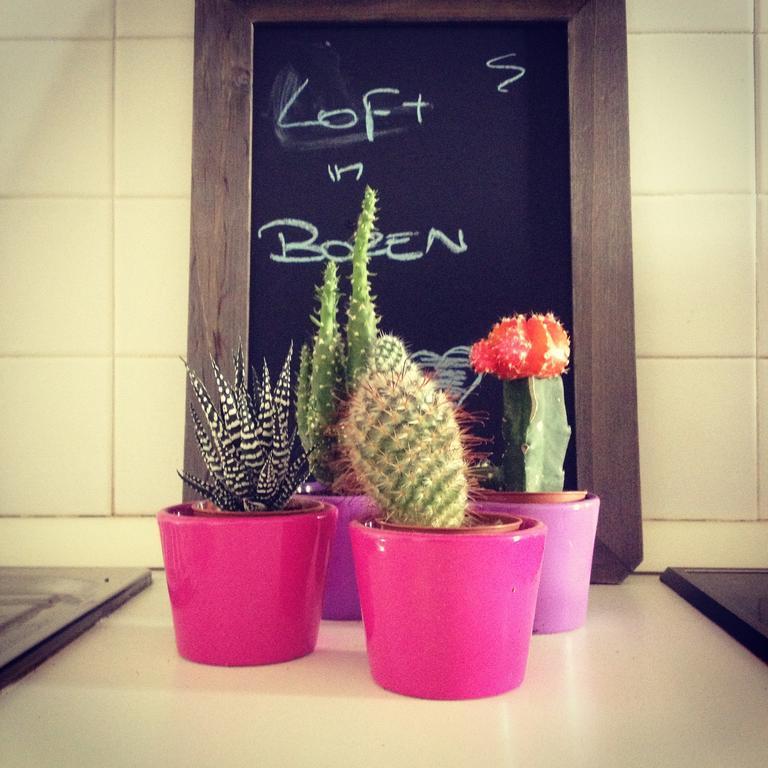 Loft L'Alessandra โบลซาโน ภายนอก รูปภาพ